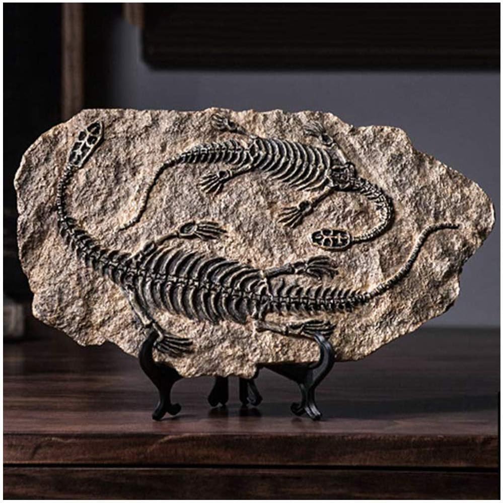 化石のオブジェ、飾り台付き